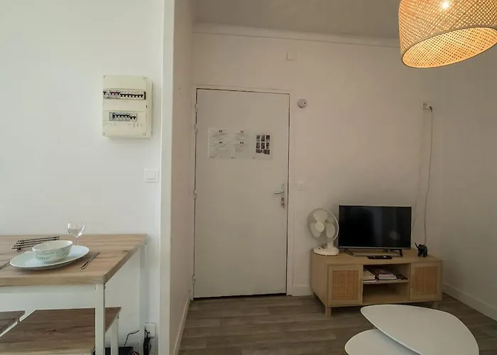 Le Jungle - - Proche Sanctuaire * Лурд